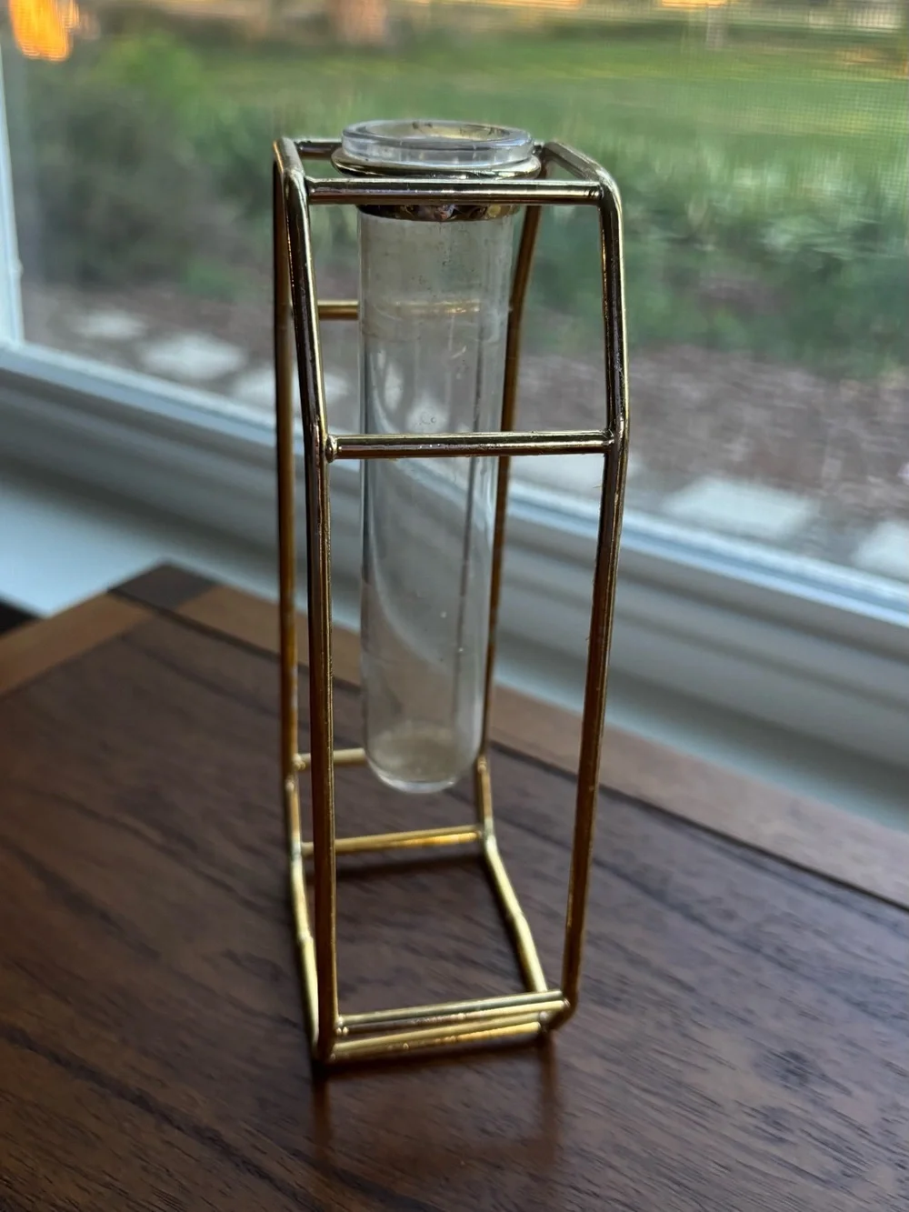 Gold Geometric Single-Stem Vase with Clear Glass Tube